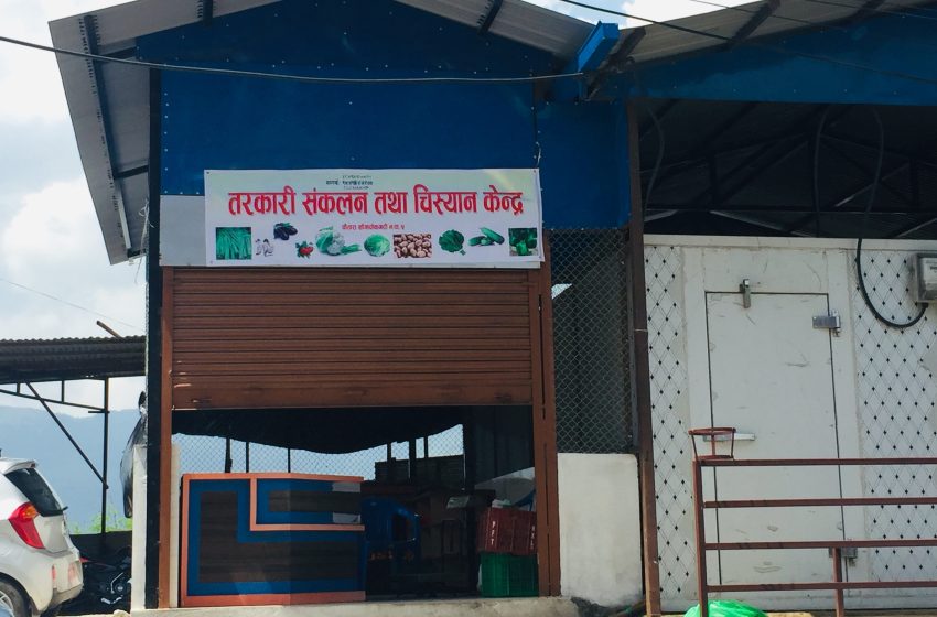  चौतारा नगरले किन्छ, किसानका तरकारी