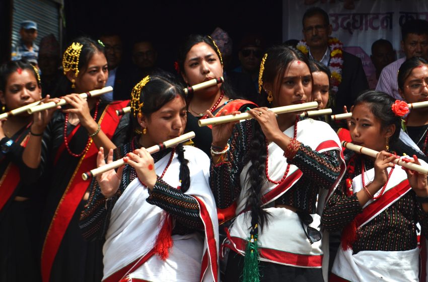  न्यू द भिन्तुना