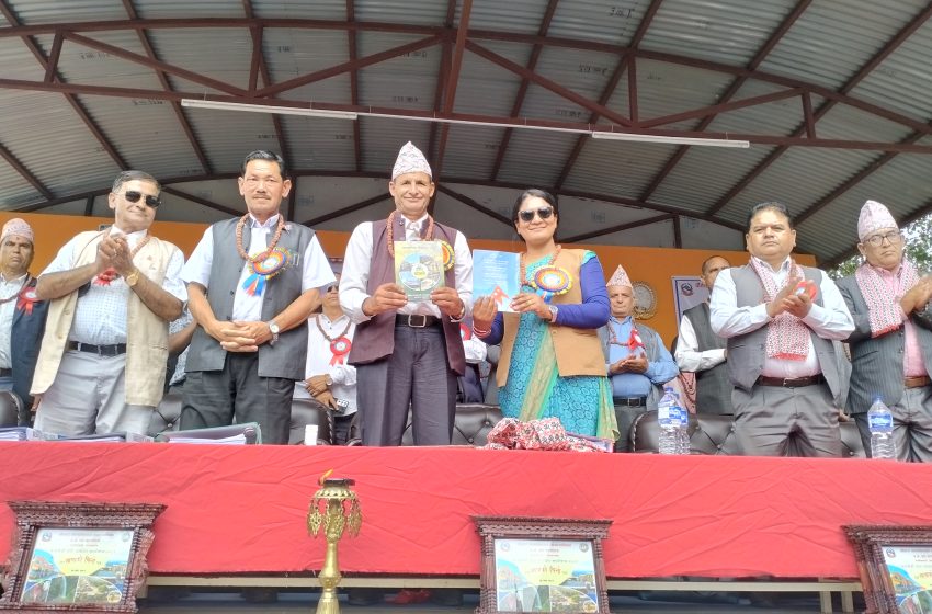  चाैतारा साँगाचाेकगढी-७ बालमैत्री वडा घाेषित